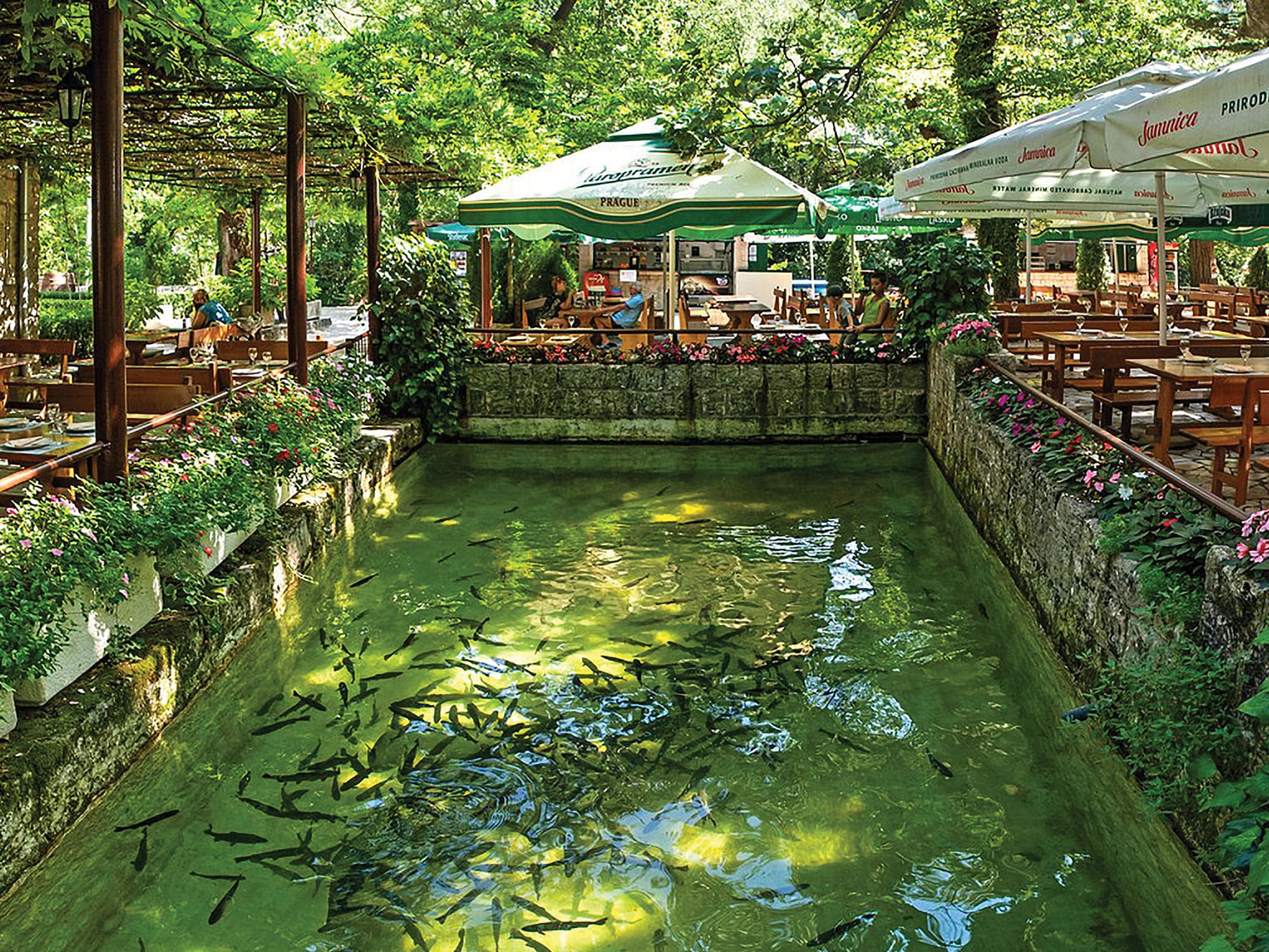 Explore Omiš, Rafting on Cetina & Radman's Mills - Image 17